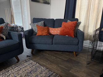 Love seat, couch and rug (pillows included)