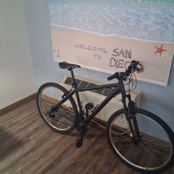 Awesome Deal,. Mens Pro Cannondale & Pair Of Wilson Rf  Prostaff  Autographed  Tennis Racquets 