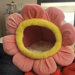 Cute cat hut