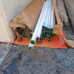 4 Foot T8 Fluorescent