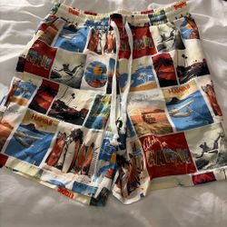 Tropic Hawaii Print Swim Trunks