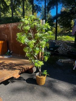 Large Artificial Japanese Maple Tree in Basket