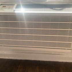 Friedrich WallMaster AC Unit