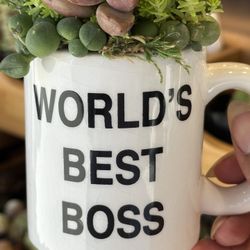 The Office Worlds Best Boss Succulent Arrangement 