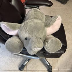 Stuffed Animal