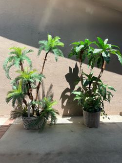 Large 6’ Decorative Plants 🪴