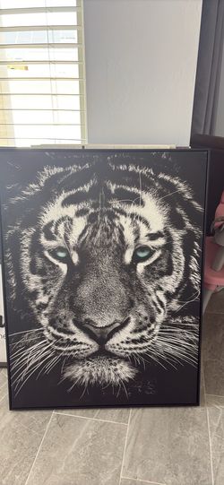 Blue eyed tiger frame
