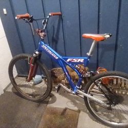 Specialized Custom Bike 500$