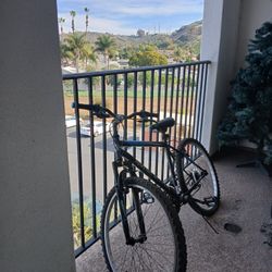 Road Runner Mountain Bike