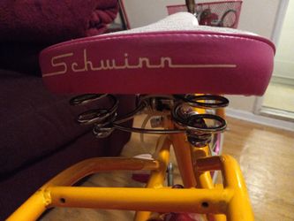 Schwinn top madeline too