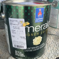 1 Gallon Interior Paint Satin