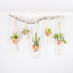 Multi plant hanger wall hanging