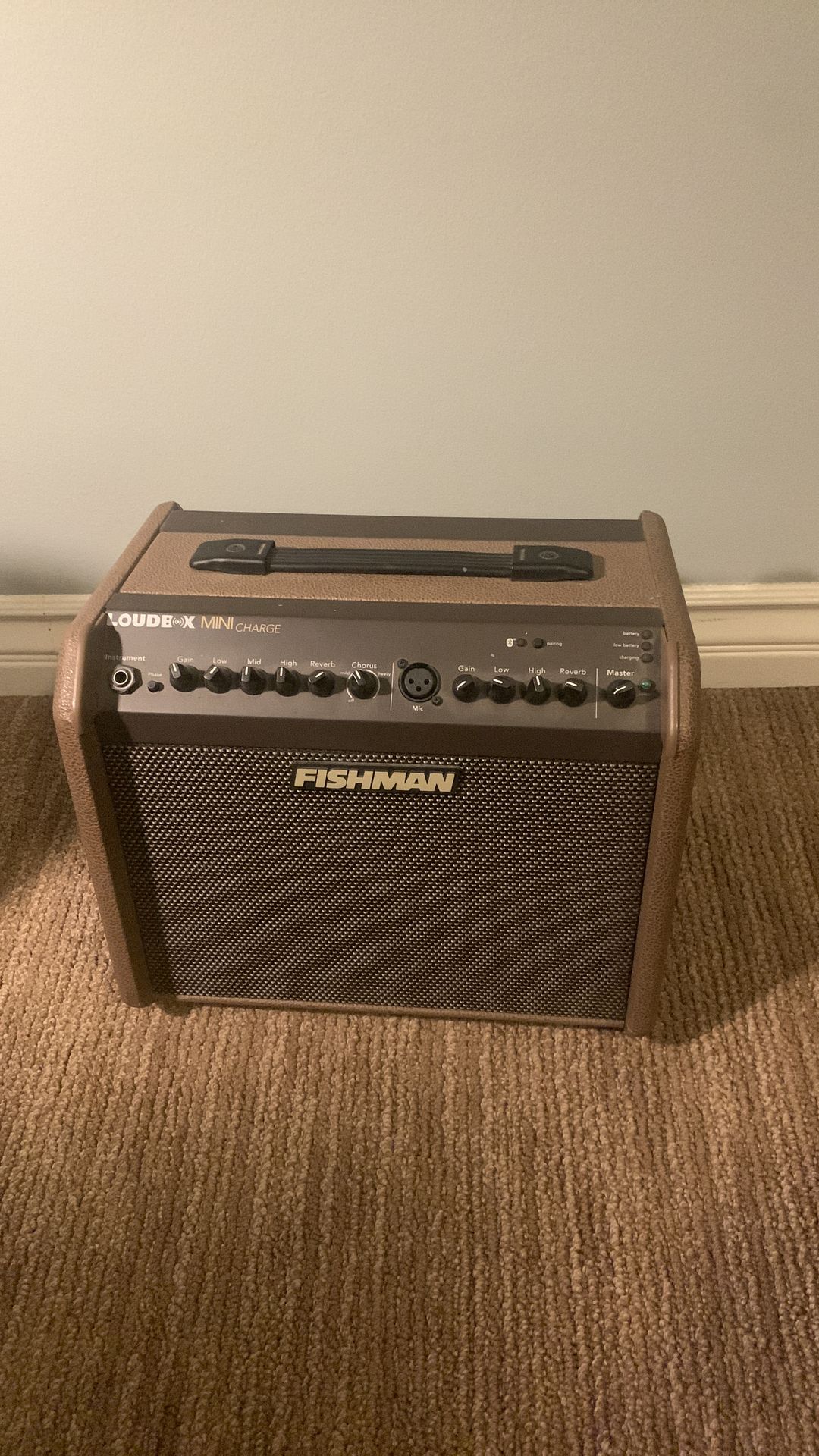 Fishman loud box amplifier with Bluetooth