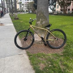 Gold throne 29er