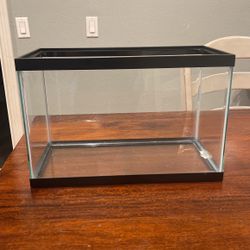 Fish Tank