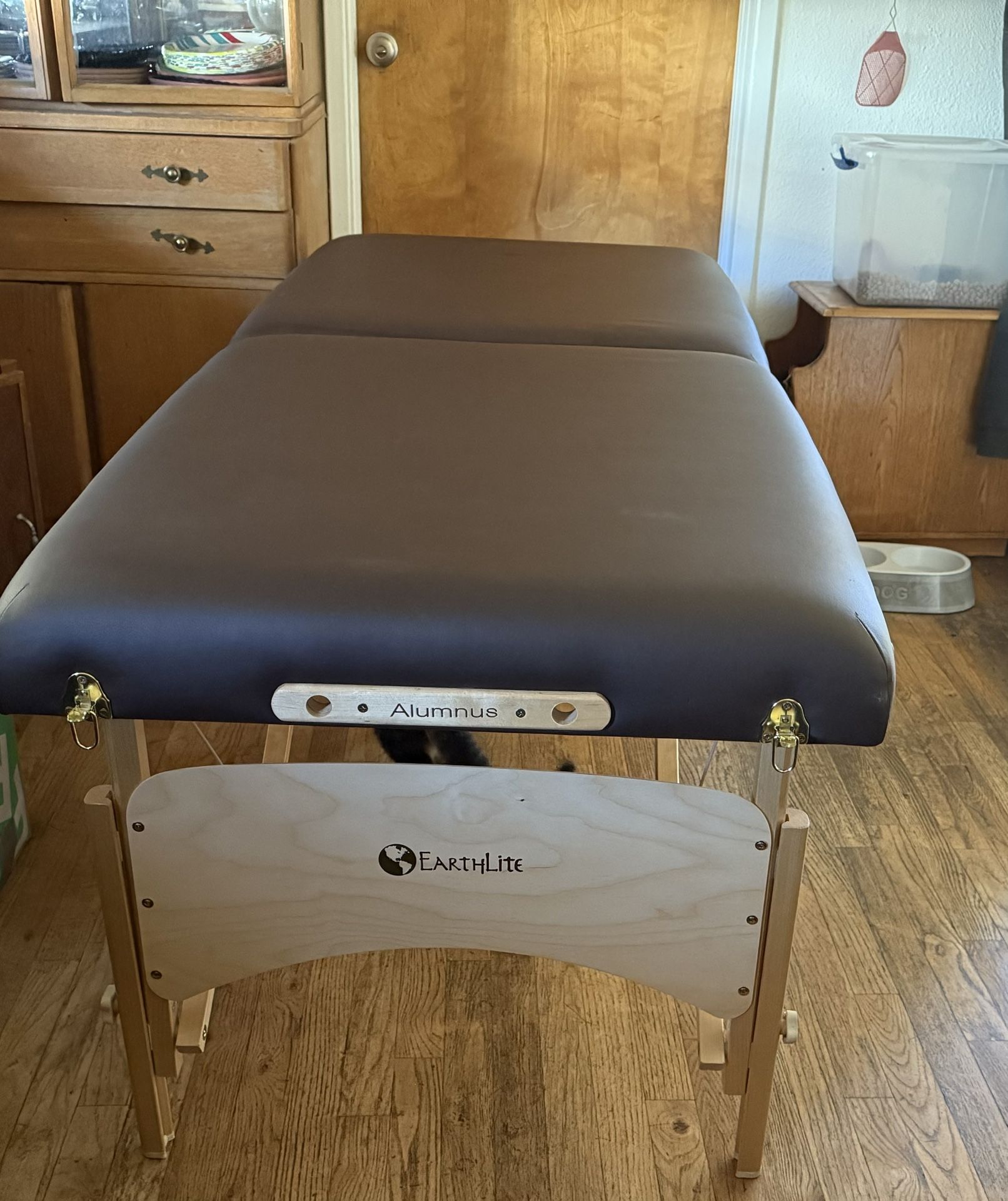 Massage Table