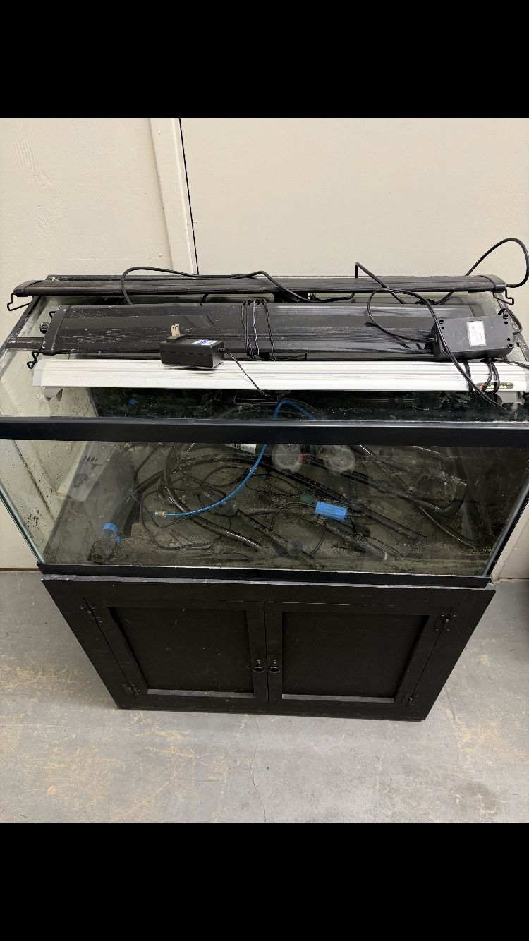 Fish Aquarium, Stand & 2 Filters, And Accessories