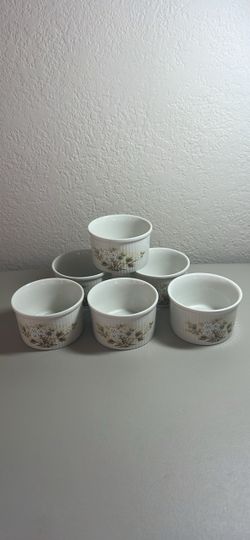 Royal Doulton Set of 6 Ceramic Floral Ramekins
