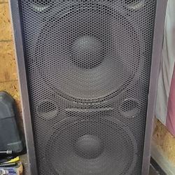 Custom P.A. Speakers 