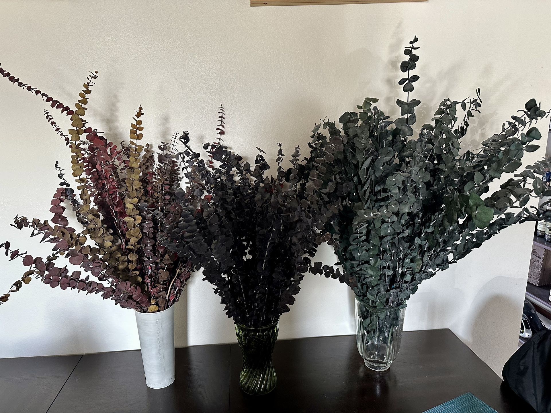 Large Dried Preserved Eucalyptus