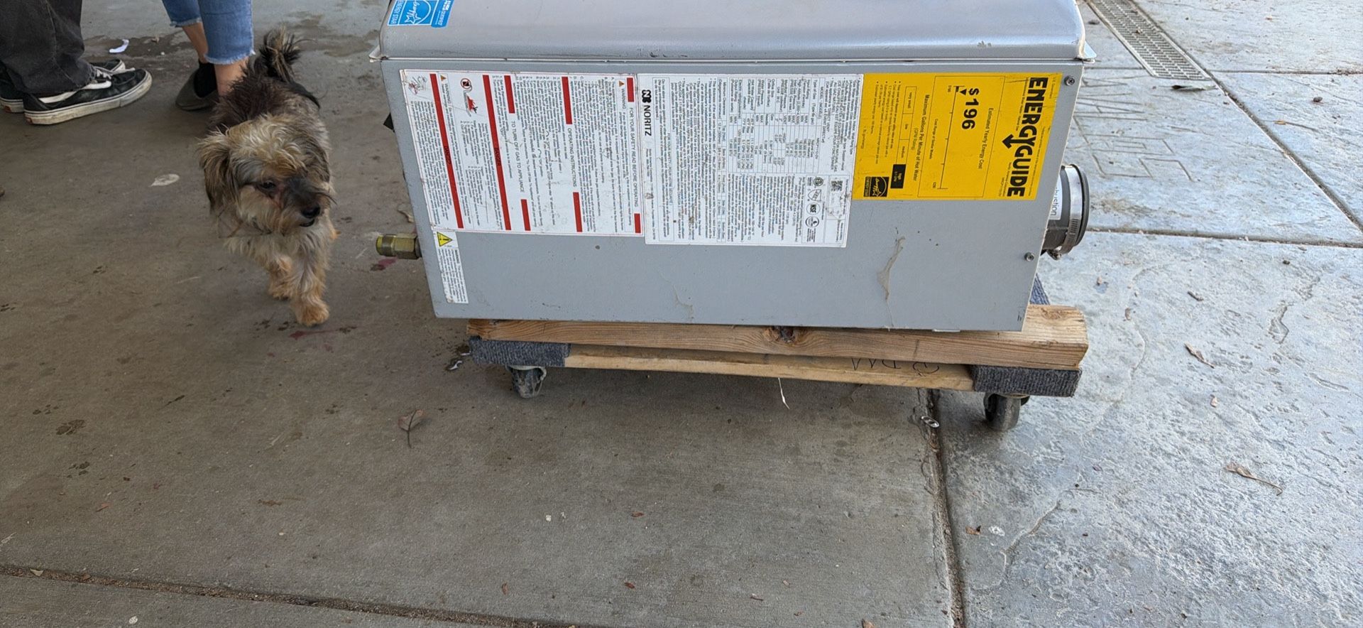 Nortiz Tankless Water With Built In Return Line