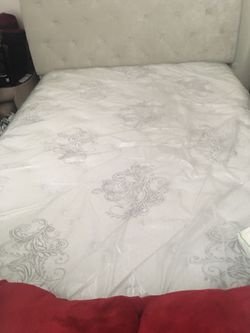 Queen Serta Mattress 