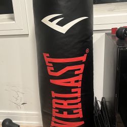 Punching Bag & Boxing Gloves NEW