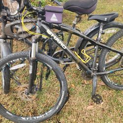 "Becky, Look At Her Sale-It Is So BIG!!"