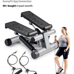 Sunny Health & Fitness Mini Stepper 