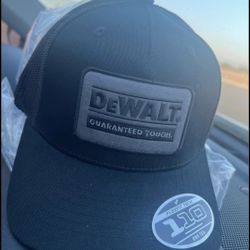 DeWalt mens hats