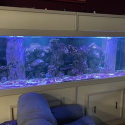 Fish Tank 300 Gallon Glass Tank With 90 Filter tank 