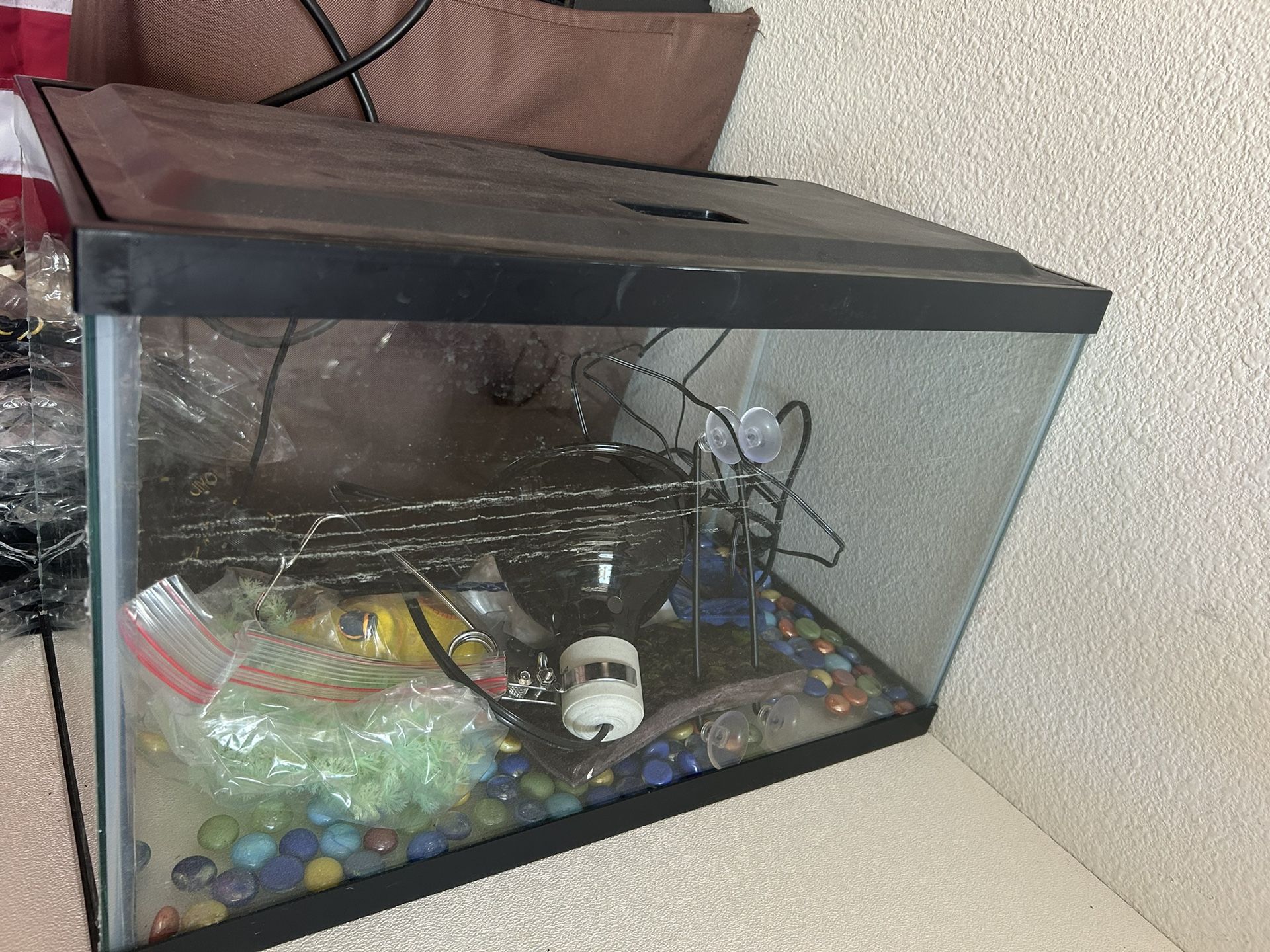 Fish Aquarium