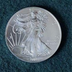 2009 Silver Eagle