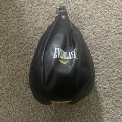 Speed Bag