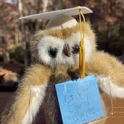 Boyd’s Bear Miss B Wise Gift Card Holder Bear