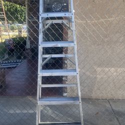 Ladder 6 Ft