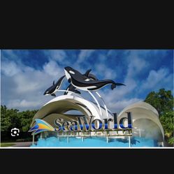 3 Sea World San Diego E Tickets!