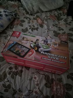 Mario Kart Live Home Circuit (Switch console needed)