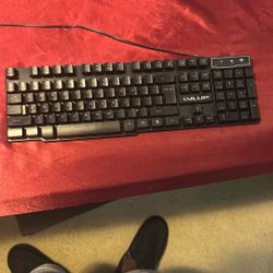 Wired Mechanical Keyboard (backlight)