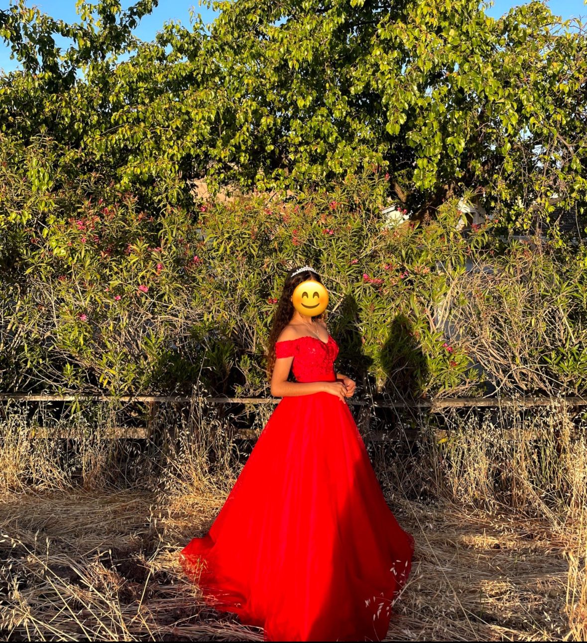 Beautiful Red Quinceañera or Prom Dress/Gown