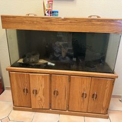 Acrylic Aquarium