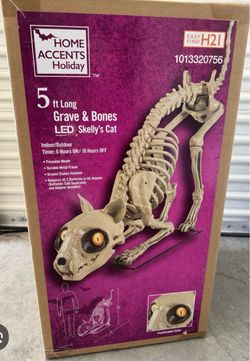 5 ft Skeleton Cat Halloween Decoration