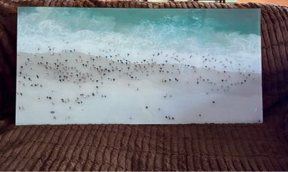 Large beach Ariel in resin wall decor
