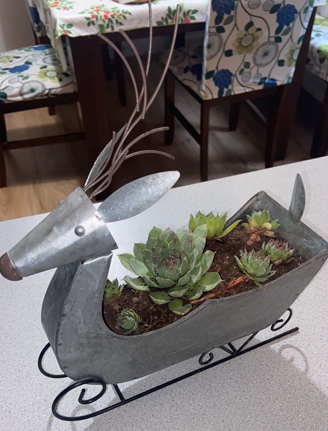 Galvanized Reindeer With Hen&chicks