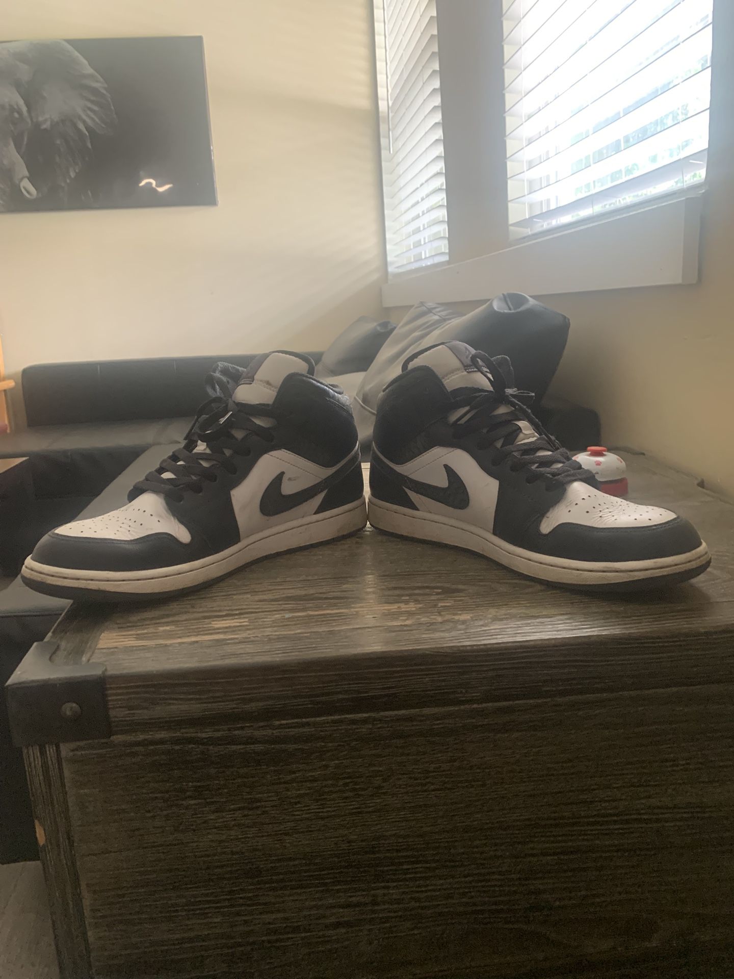 Nike Air Jordan High top 11.0