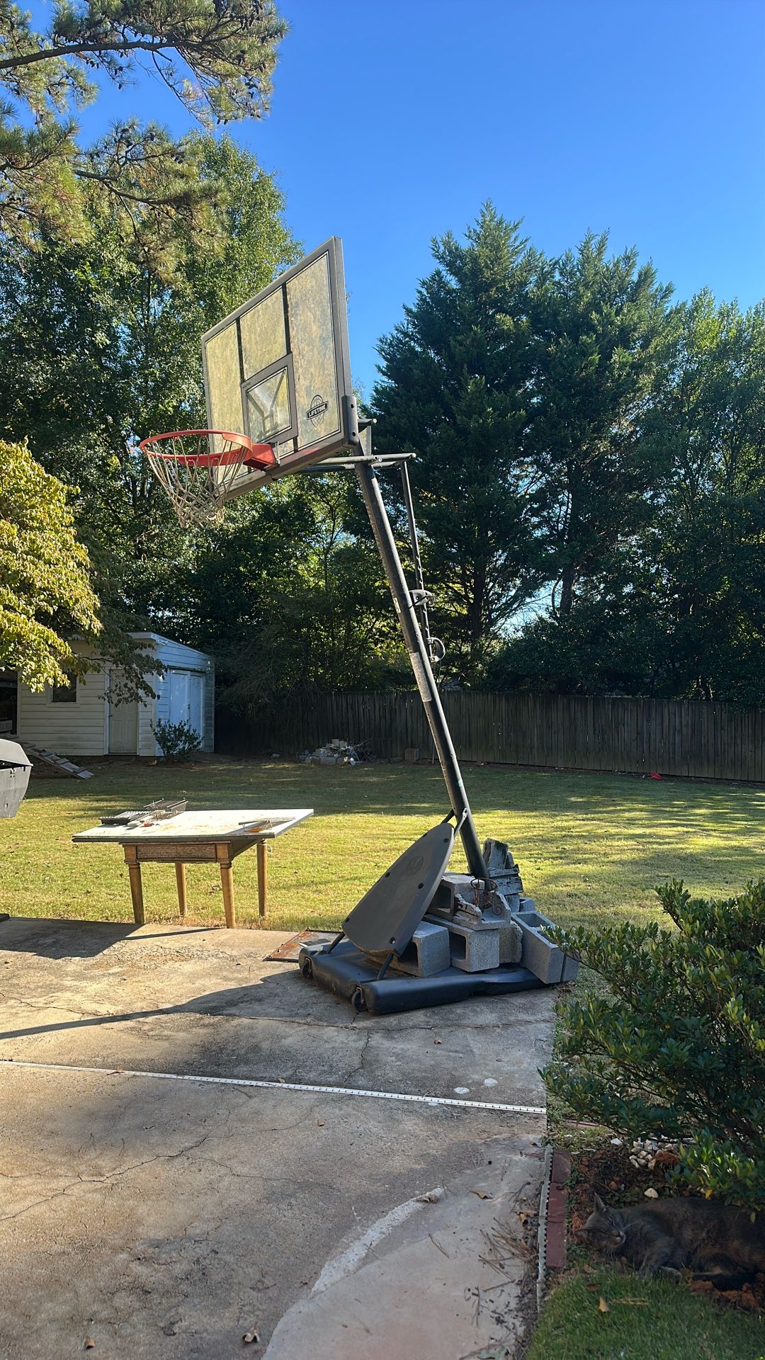 basketball hoop