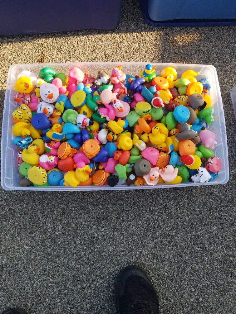 Rubber Ducks