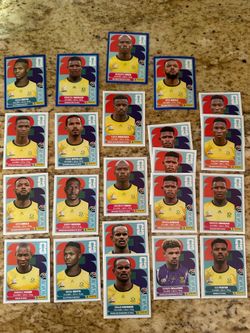 FIFA World Cup Panini stickers