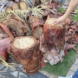 Palm Tree Pieces