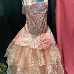 Pink Princess Dress Costume 